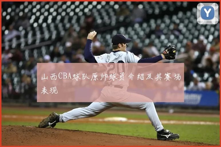 山西CBA球队原帅球员介绍及其赛场表现