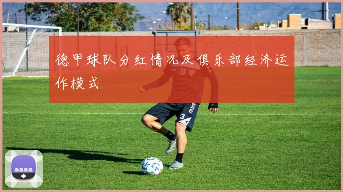 德甲球队分红情况及俱乐部经济运作模式