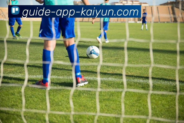 开云app发展历程